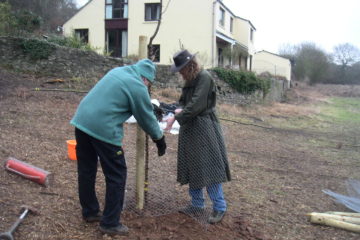 First tree planted in Llanblethian Orchards