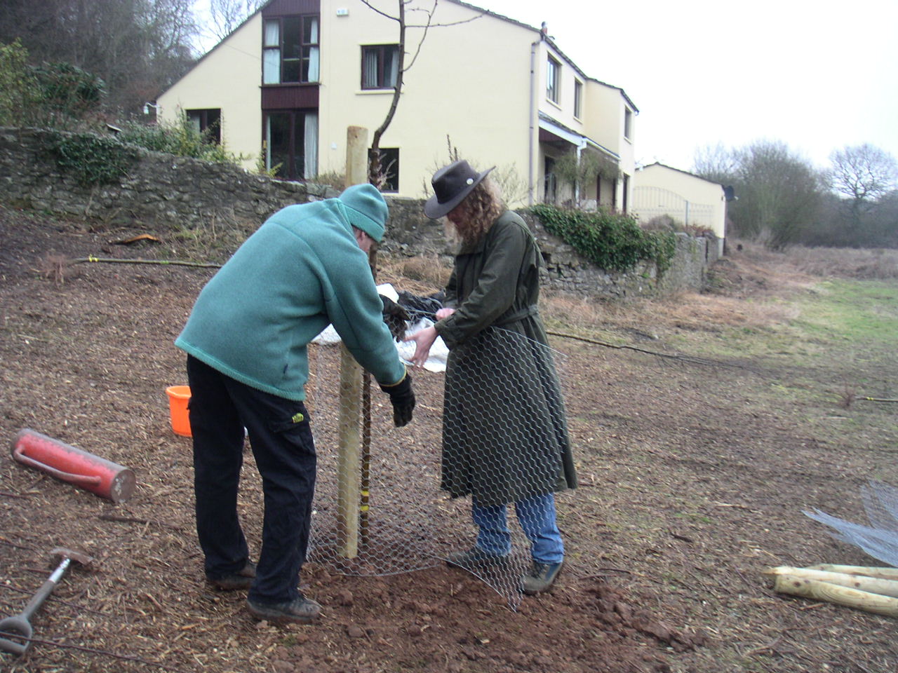 First tree planted in Llanblethian Orchards