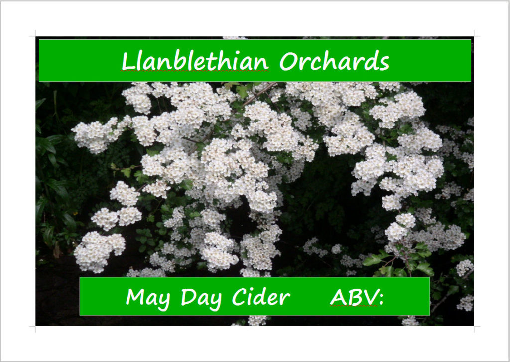 Original label design 2009,2010 ish made in word. Photo is of a hawthorn in llanblethian orchard cowbridge