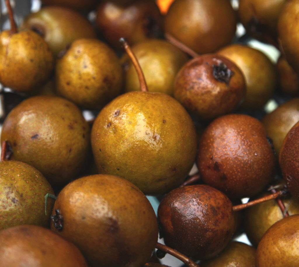 Gin perry pears being washed