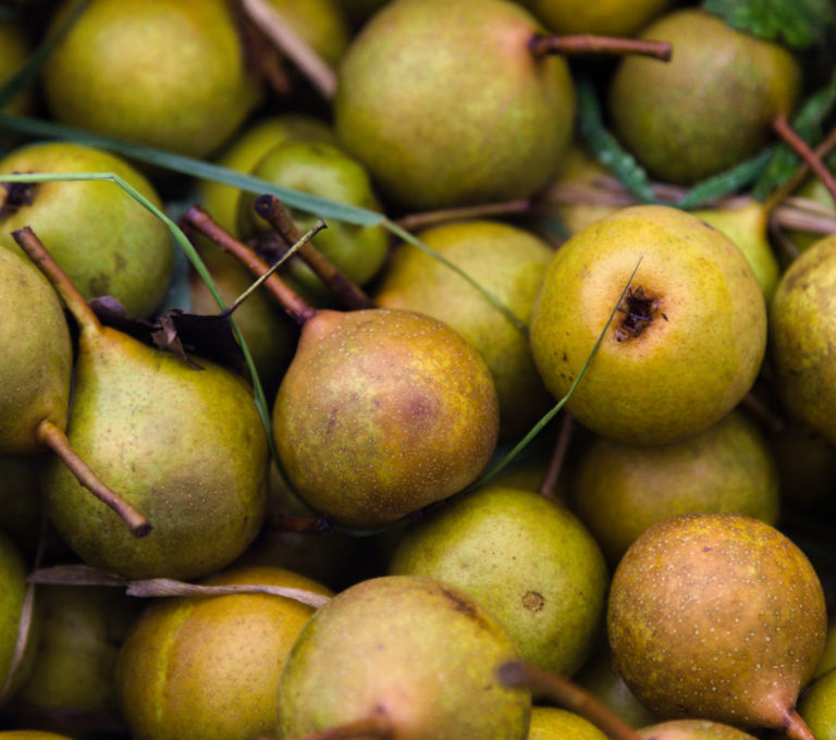 Hendre Huffcap Pears being washed