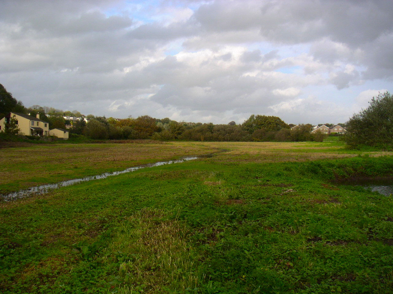 Field before planting orchard